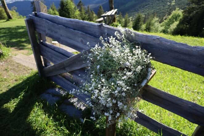Einkehren in Gnadenwald