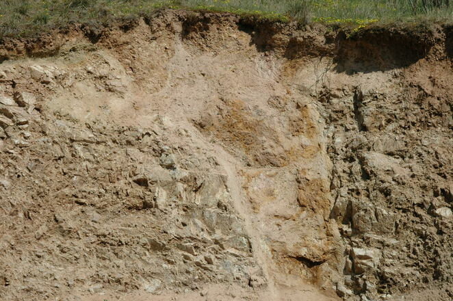 Geotope Klosterberg