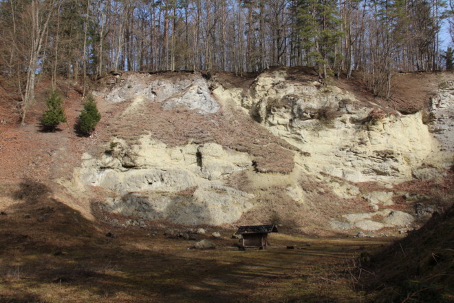 Suevitsteinbruch bei der Alten Bürg