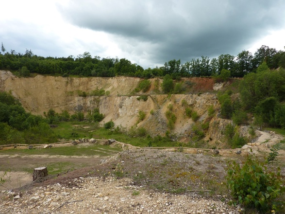 Aufschlusswand Geotop Lindle