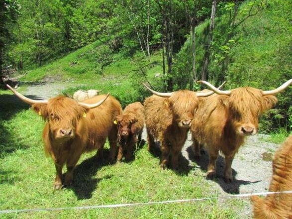 Unsere kleine Landwirtschaft b