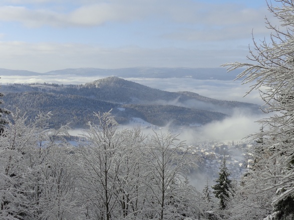 Aussichtspunkt Arberhochstraße