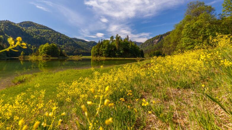 Weitseegebiet im Frühling