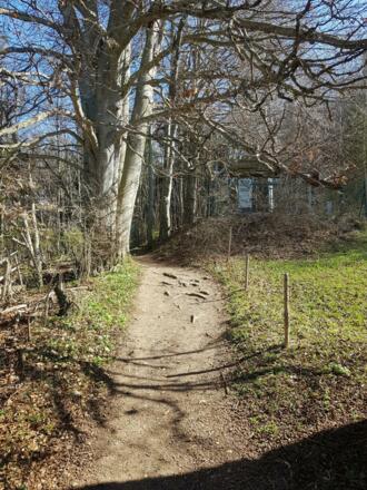 Auf dem Weg zum Auerberg