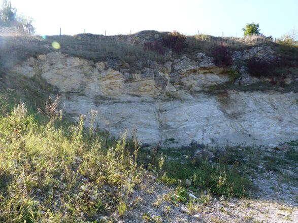 Aufschlusswand Geotope Kühstein