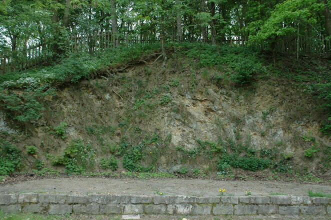 Wennenberg Steinbruch