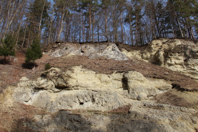 Suevit-Steinbruch Alte Bürg