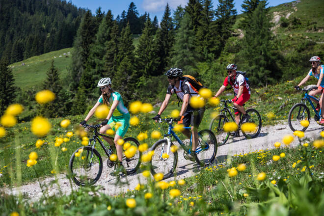 Saftige Wiesen runden jede Biketour perfekt ab