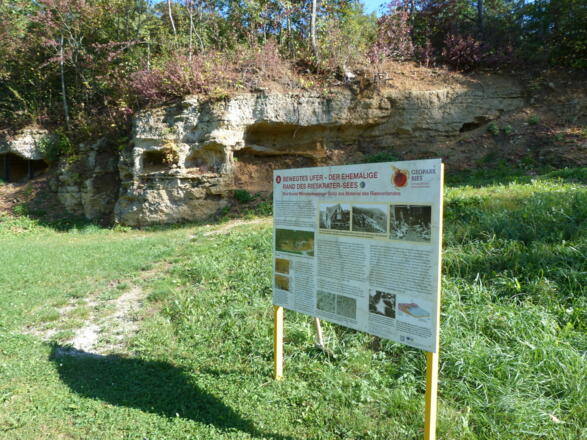 Aufschluss Geotope Kühstein