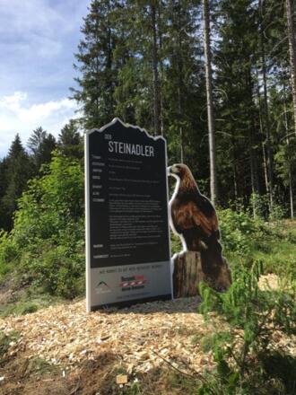 Wildtierlehrpfad Neukirchen