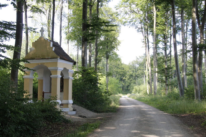 Waldkapelle