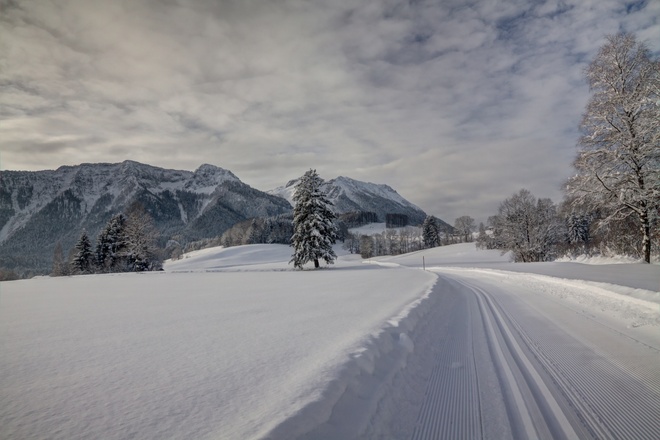 Loipen-Landschaft in Inzell im Chiemgau