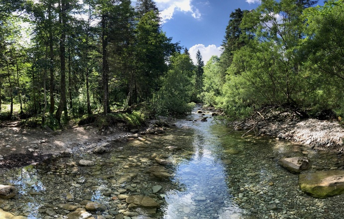 Fischbach