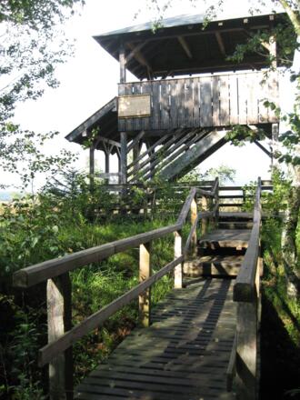 Aussichtsturm im Moor