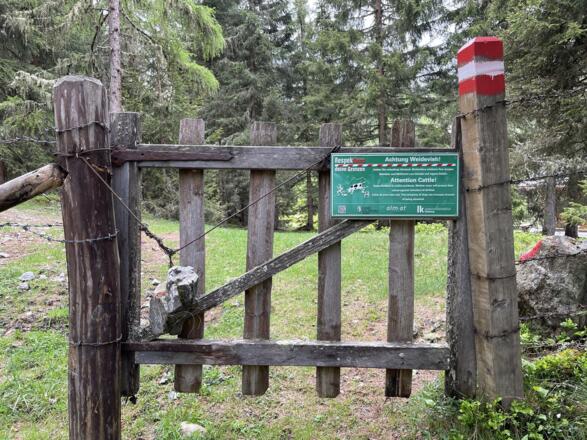 Kurz vor der Karalm