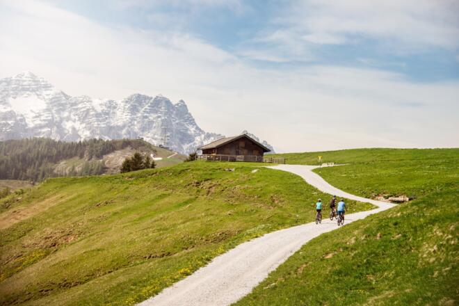 Schwarzeck in der Almenwelt lofer