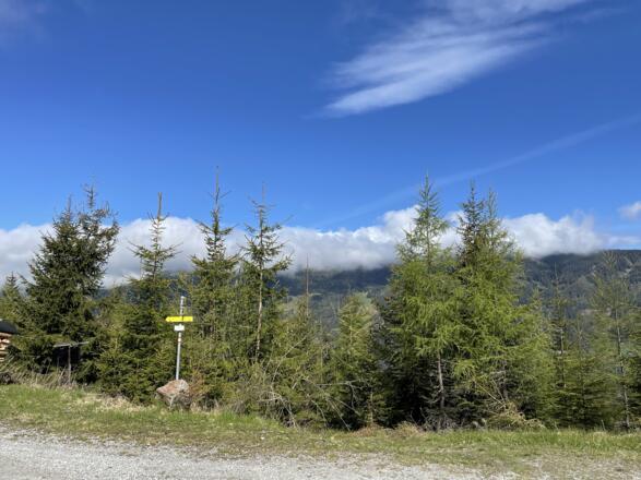 Ausblick bei der Kniebeiss