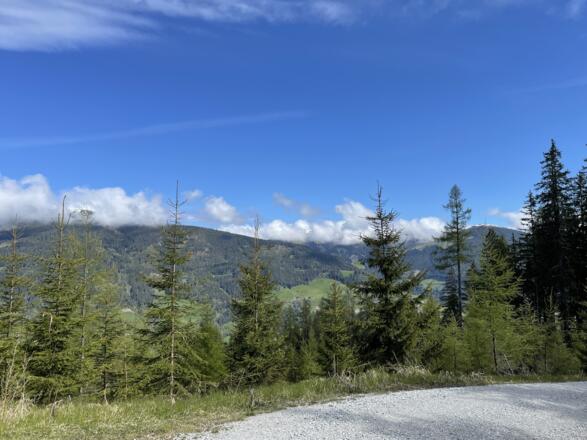 Ausblick bei der Kniebeiss