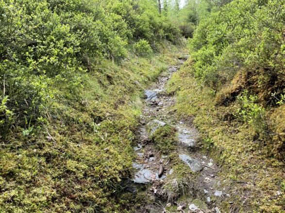 Wandersteig zur Karalm