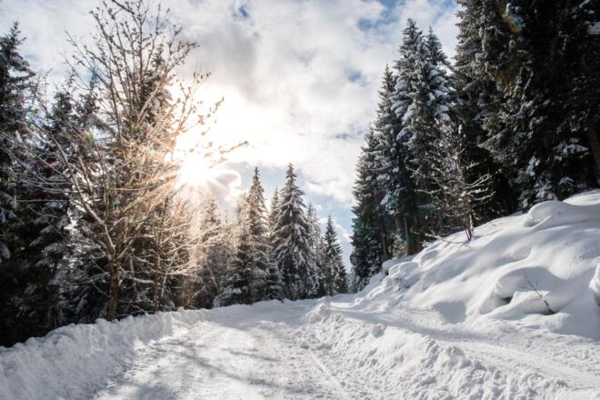 Rodelbahn Brennhütte/Munzen bei perfekten Schneeverhältnissen