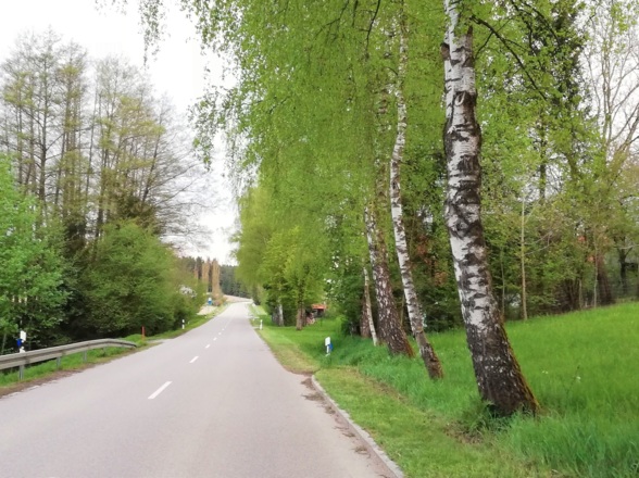 Auf dem Nandlstädter Kulturradweg zwischen Hörgertshausen und Sankt Alban