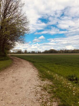 Landschaft bei Dirnismaning