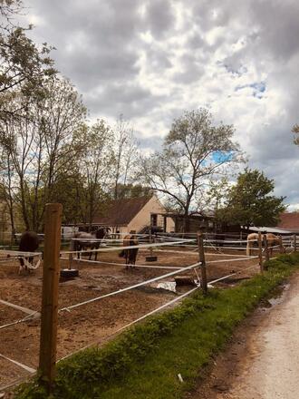 Pferdehof Dirinismaning