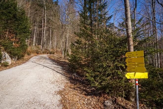 Forstweg Richtung Kaltes Wasserl Kramsach