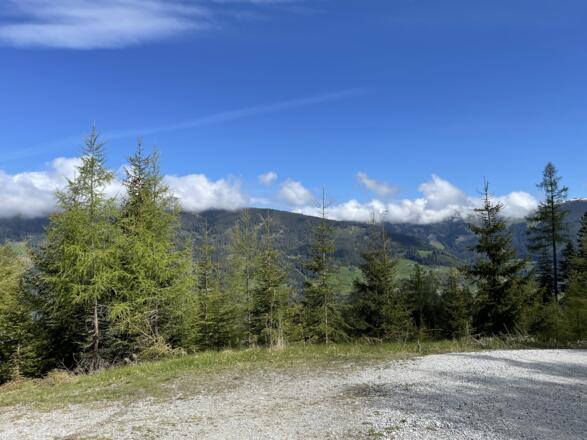 Ausblick bei der Kniebeiss