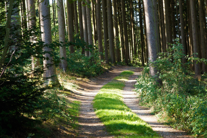 Ausschnitt aus der Runde