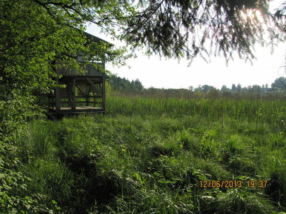 Aussichtsturm Moorlehrpfad Burgermoos
