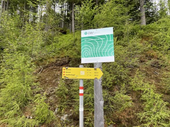 Abzweigung zur Karalm