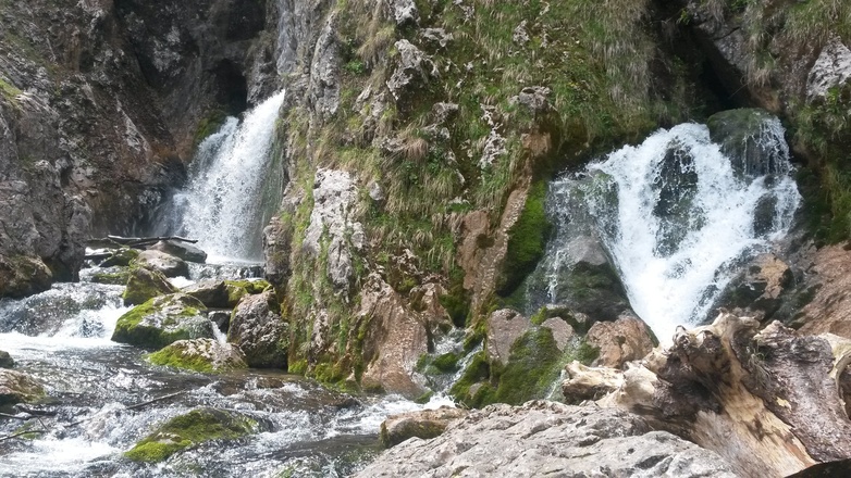 Dachserfall Abtenau