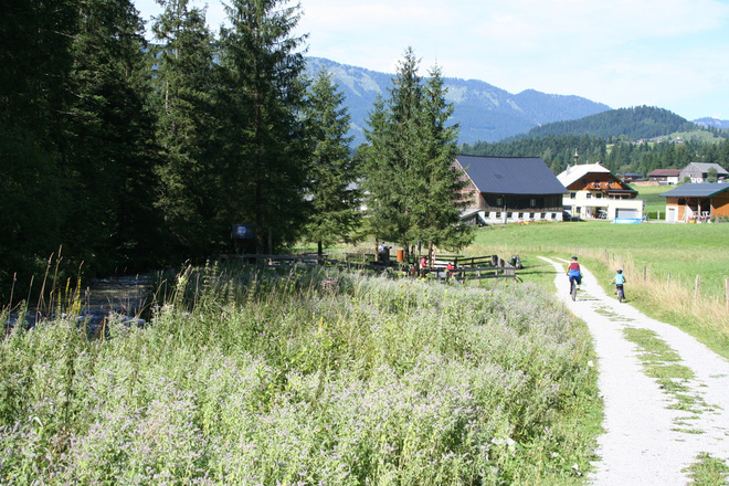 Wanderung zur Kneippanlage