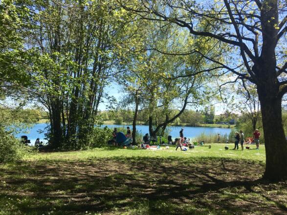 Liegewiese und Grillplatz am See