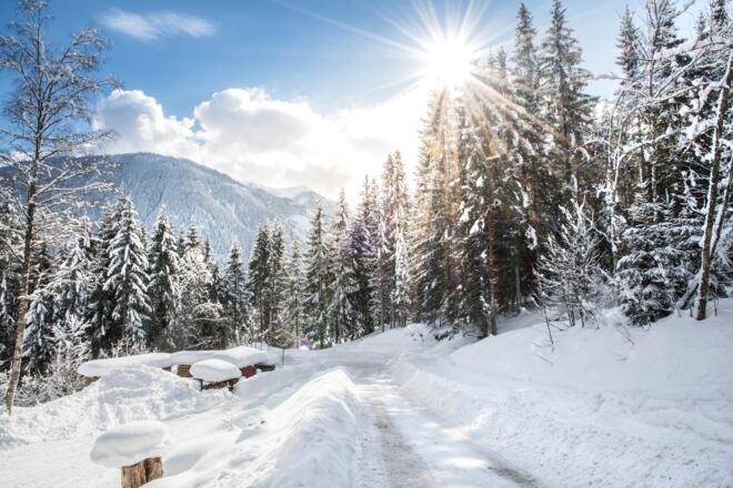 Rodelbahn in herrlicher Winterlandschaft