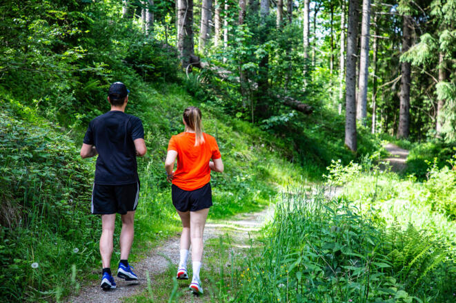 Laufen auf ruhigen Naturwegen über Flachau