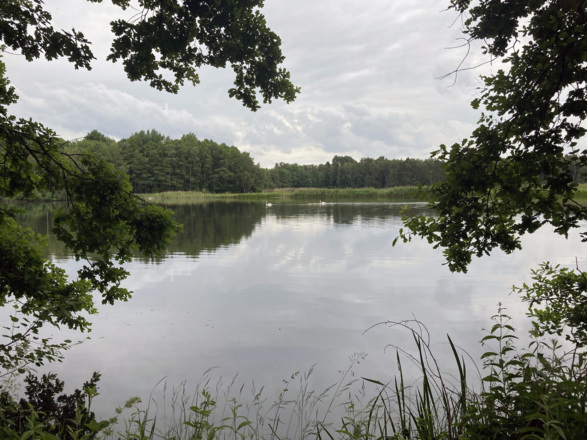 Rotweiher