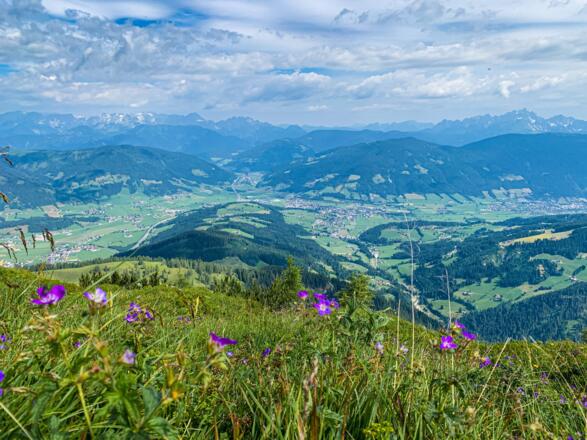 Panoramablick vom Gipfelkreuz
