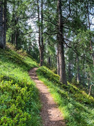 Wanderweg Lackenkogel