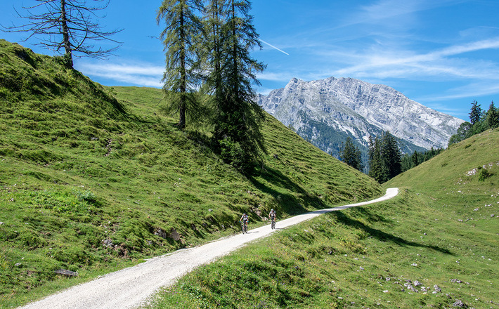 Mountainbiker auf dem Weg über die Büchsenalm zur Gotzenalm