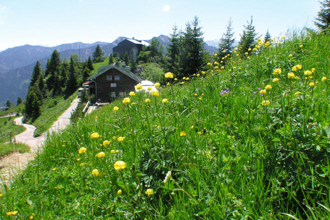 Wanderung Pürschling - August Schuster Haus