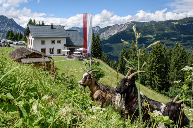 Berggasthof Grabs im Sommer