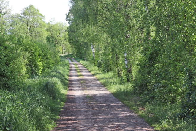 Webrun-Strecke bei Obervilslern