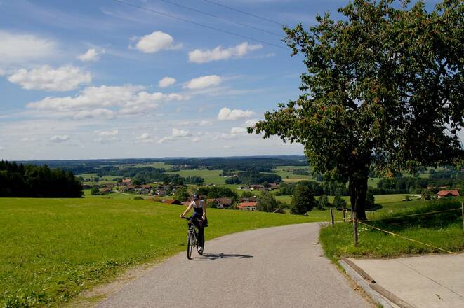 Rund um den Högl