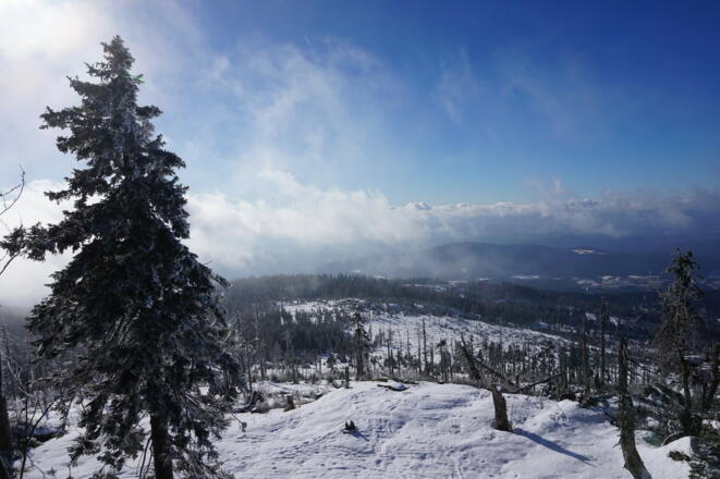 Blick vom Kl. Arber