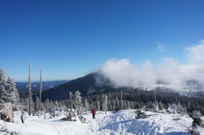 Blick vom Kleinen zum Großen Arber