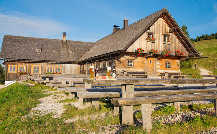 Stoisser Alm Stoißer Alm über die Schneid