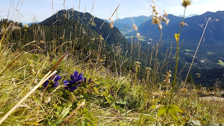 Brunnenkopf mit Blick in Graswangtal