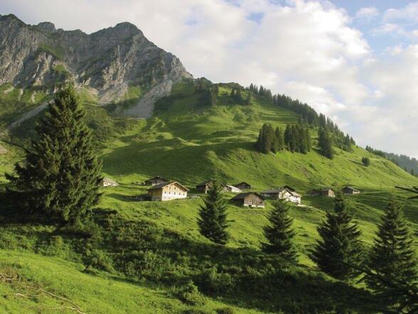Alpe_Steris_Großes_Walsertal_(c)__-_Verein_Großes_
